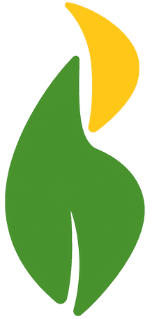 Historia Bio4 Bioetanol Río Cuarto SA