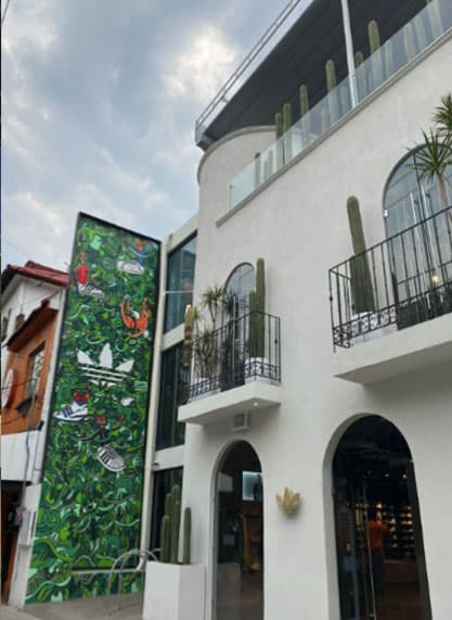 CromaAdi Retail Development 4