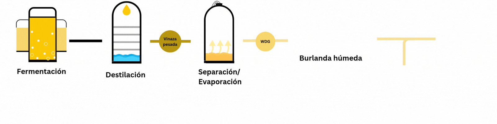 WDGS (Burlanda Húmeda)